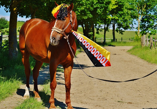 固湖人在赛 固湖人在赛