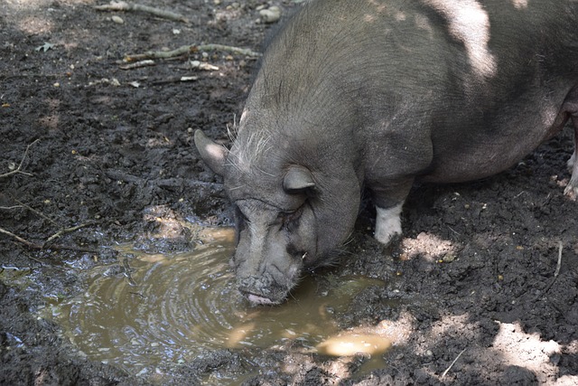 的玩家市场 的玩家市场