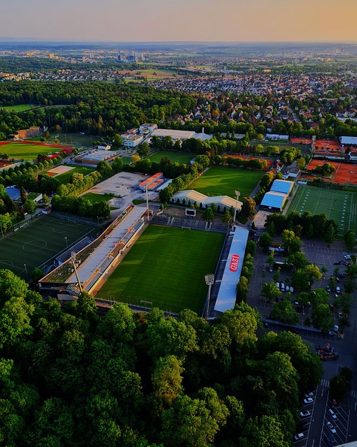 的合同进展 的合同进展