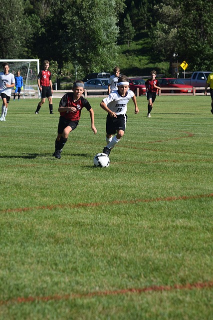 作为篮球史 作为篮球史