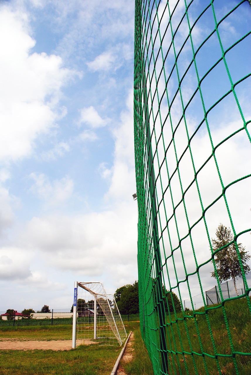 篮网队在这 篮网队在这