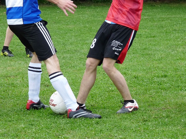 家的战术提 家的战术提